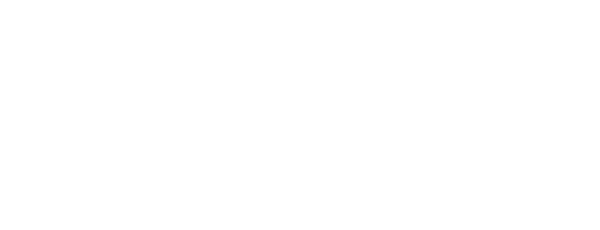 Net Altın Logo